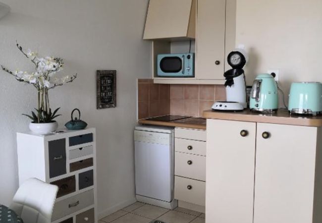 Studio in Quiberon - Studio Cabine Face Piscine